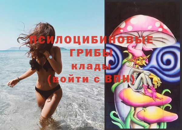 мескалин Арсеньев